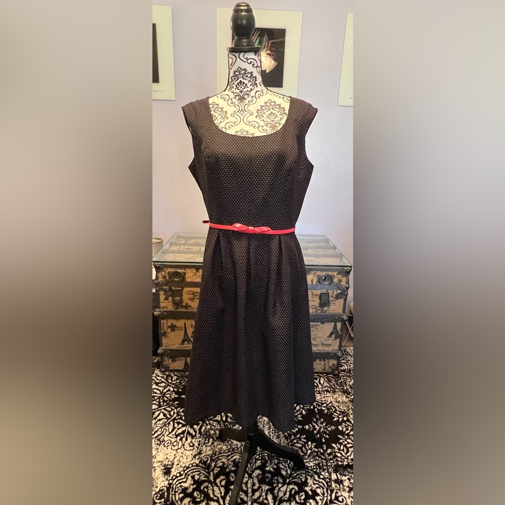 Evan Picone Black Label Sleeveless Belted Dress with Pleats and Pockets!